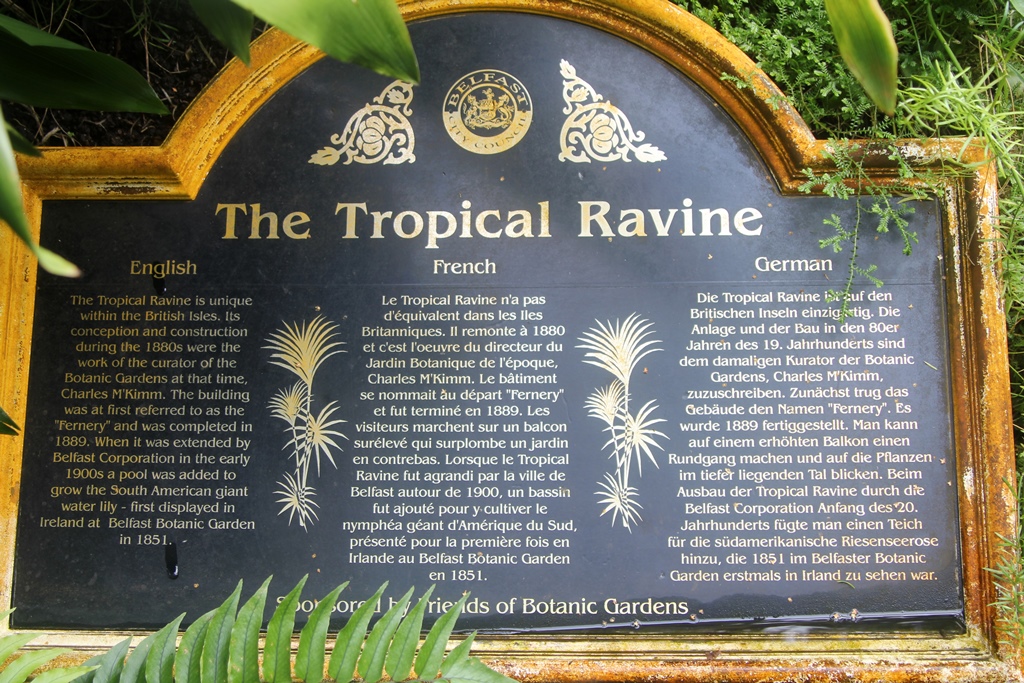 Tropical Ravine Sign